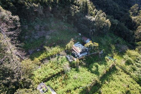 Helårsgrund i Sao Vincente, Madeira, Sao Vincente - € 130.000 | Ref: KWPT-028783 - foto 30