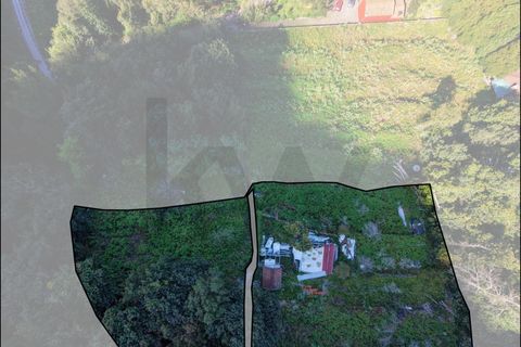 Helårsgrund i Sao Vincente, Madeira, Sao Vincente - € 130.000 | Ref: KWPT-028783 - foto 32