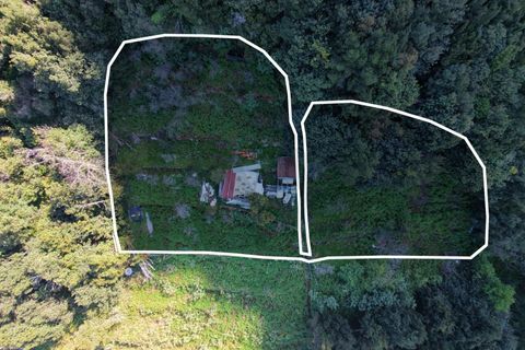 Helårsgrund i Sao Vincente, Madeira, Sao Vincente - € 130.000 | Ref: KWPT-028783 - foto 35