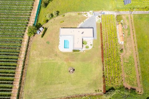 Villa i Alcobaca, Leiria, Alcobaca - € 895.000 | Ref: 048/2026.AD - foto 35