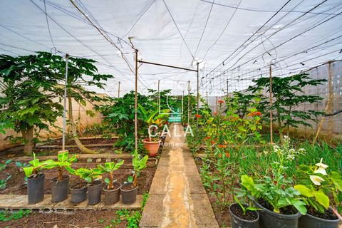 Villa a Garachico, Tenerife, Garachico - € 650.000 | Ref: 1380 - foto 36