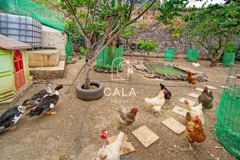 Villa a Garachico, Tenerife, Garachico - € 650.000 | Ref: 1380 - foto 50