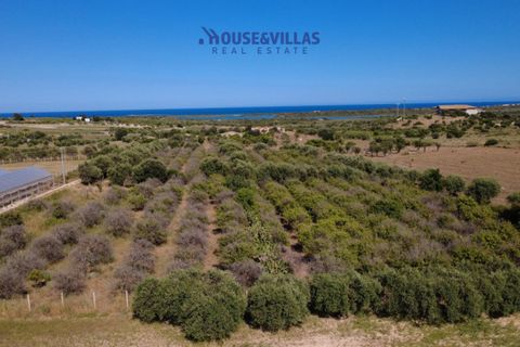 Helårsgrund i Noto, Siracusa, Noto - € 180.000 | Ref: 1302 - foto 1