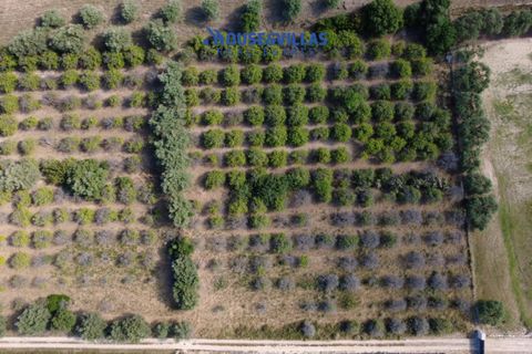 Helårsgrund i Noto, Siracusa, Noto - € 180.000 | Ref: 1302 - foto 3