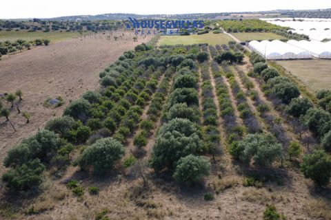 Helårsgrund i Noto, Siracusa, Noto - € 180.000 | Ref: 1302 - foto 4