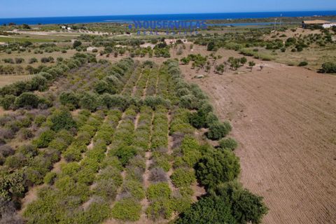 Helårsgrund i Noto, Siracusa, Noto - € 180.000 | Ref: 1302 - foto 6