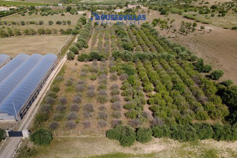 Helårsgrund i Noto, Siracusa, Noto - € 180.000 | Ref: 1302 - foto 7