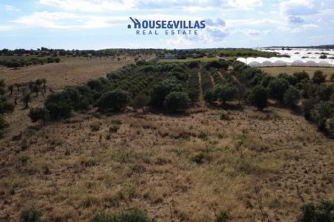 Helårsgrund i Noto, Siracusa, Noto - € 180.000 | Ref: 1302 - foto 8
