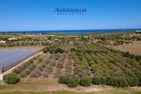 Helårsgrund i Noto, Siracusa, Noto - € 180.000 | Ref: 1302 - foto 15