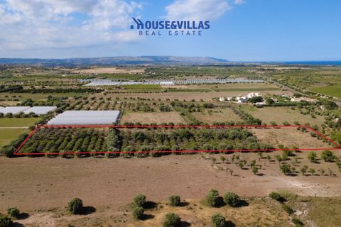 Helårsgrund i Noto, Siracusa, Noto - € 180.000 | Ref: 1302 - foto 17