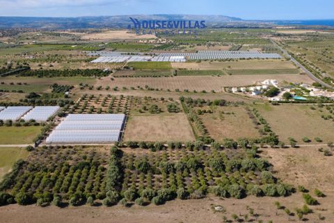 Helårsgrund i Noto, Siracusa, Noto - € 180.000 | Ref: 1302 - foto 18