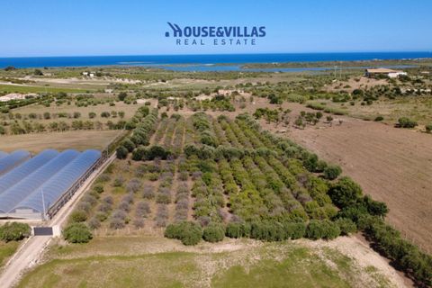 Helårsgrund i Noto, Siracusa, Noto - € 180.000 | Ref: 1302 - foto 20