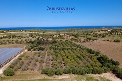 Helårsgrund i Noto, Siracusa, Noto - € 180.000 | Ref: 1302 - foto 21