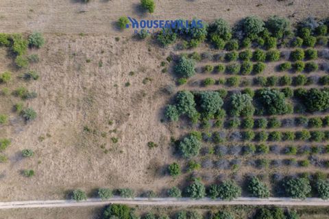 Helårsgrund i Noto, Siracusa, Noto - € 180.000 | Ref: 1302 - foto 22