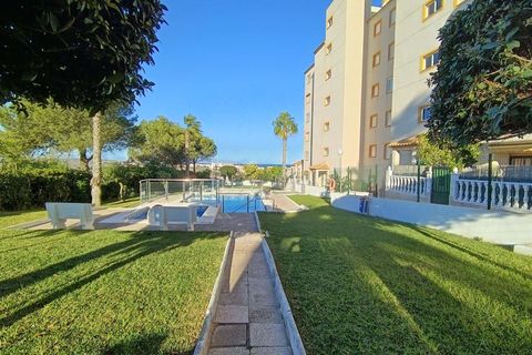 Leilighet i Torrevieja, Alicante, Torrevieja - € 149 995 | Ref: AG19MLSC472957 - foto 24