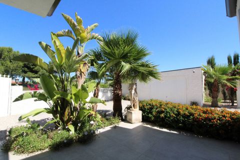 Villa i Torrellano, Alicante, Torrellano - € 525.000 | Ref: CSPX-66153 - foto 31