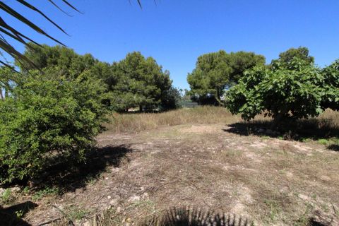 Villa i Torrellano, Alicante, Torrellano - € 525.000 | Ref: CSPX-66153 - foto 37