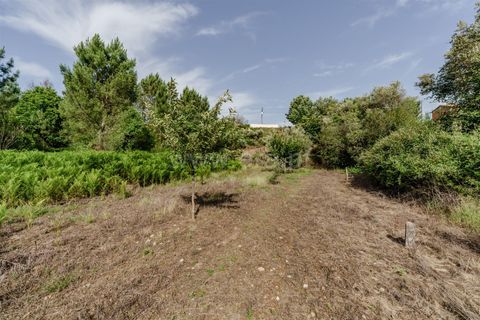 Helårsgrund i Covilha, Castelo Branco, Covilha - € 15.000 | Ref: 111260118 - foto 3