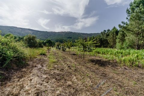 Helårsgrund i Covilha, Castelo Branco, Covilha - € 15.000 | Ref: 111260118 - foto 4
