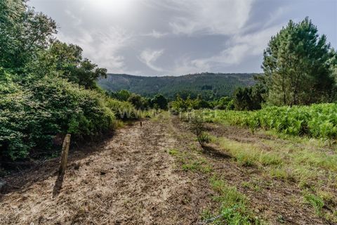 Helårsgrund i Covilha, Castelo Branco, Covilha - € 15.000 | Ref: 111260118 - foto 5