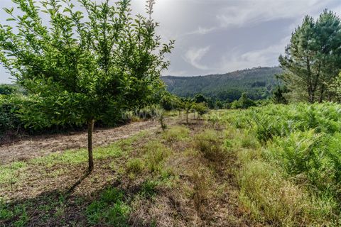 Helårsgrund i Covilha, Castelo Branco, Covilha - € 15.000 | Ref: 111260118 - foto 6