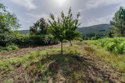 Helårsgrund i Covilha, Castelo Branco, Covilha - € 15.000 | Ref: 111260118 - foto 7