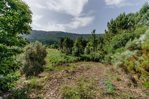 Helårsgrund i Covilha, Castelo Branco, Covilha - € 15.000 | Ref: 111260118 - foto 9
