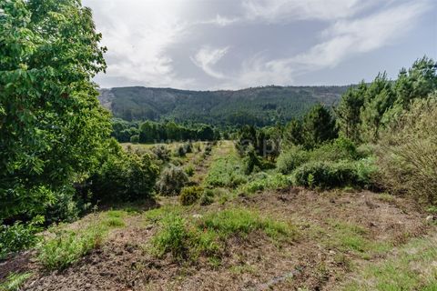 Helårsgrund i Covilha, Castelo Branco, Covilha - € 15.000 | Ref: 111260118 - foto 10