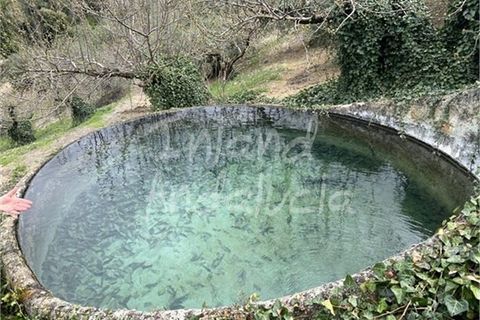 Cortijo a Charilla, Jaen, Charilla - € 100.000 | Ref: CJ948 - foto 2
