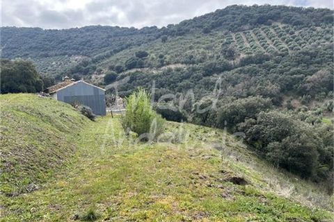 Cortijo a Charilla, Jaen, Charilla - € 100.000 | Ref: CJ948 - foto 7