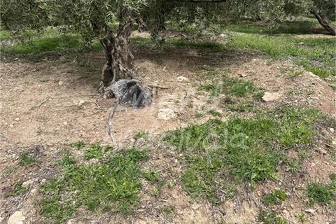 Cortijo a Charilla, Jaen, Charilla - € 100.000 | Ref: CJ948 - foto 8