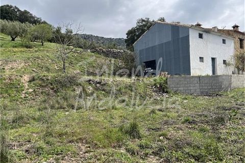 Cortijo a Charilla, Jaen, Charilla - € 100.000 | Ref: CJ948 - foto 10