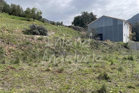 Cortijo a Charilla, Jaen, Charilla - € 100.000 | Ref: CJ948 - foto 11