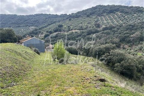 Cortijo a Charilla, Jaen, Charilla - € 100.000 | Ref: CJ948 - foto 12