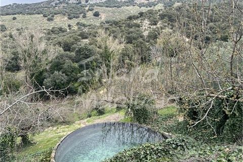 Cortijo a Charilla, Jaen, Charilla - € 100.000 | Ref: CJ948 - foto 14