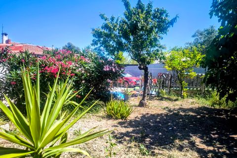 Villa a Turis, Valencia, Turis - € 242.000 | Ref: VLC5306 - foto 18