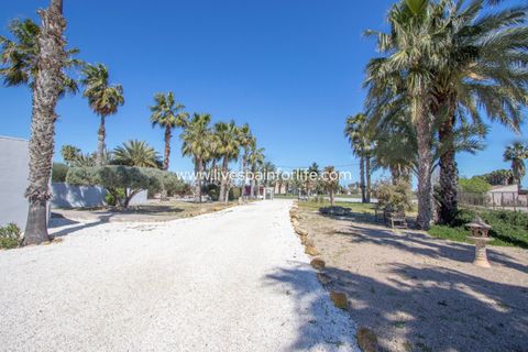 Landejendom i Catral, Alicante, Catral - € 549.000 | Ref: CAT ROS-D-D - foto 7