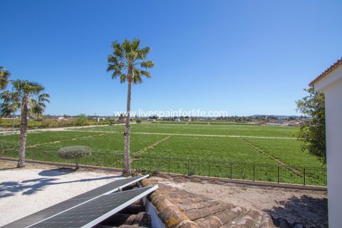 Landejendom i Catral, Alicante, Catral - € 549.000 | Ref: CAT ROS-D-D - foto 37
