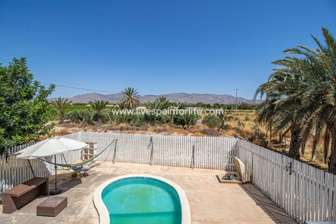 Landejendom i Albatera, Alicante, Albatera - € 399.995 | Ref: Crev MMVAlba-D-D - foto 4