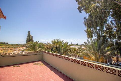 Landejendom i Albatera, Alicante, Albatera - € 399.995 | Ref: Crev MMVAlba-D-D - foto 21