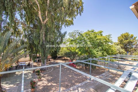 Landejendom i Albatera, Alicante, Albatera - € 399.995 | Ref: Crev MMVAlba-D-D - foto 22