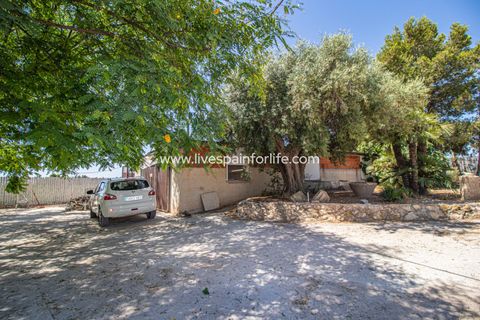Landejendom i Albatera, Alicante, Albatera - € 399.995 | Ref: Crev MMVAlba-D-D - foto 29