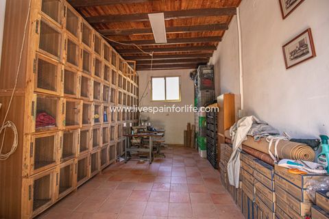 Landejendom i Albatera, Alicante, Albatera - € 399.995 | Ref: Crev MMVAlba-D-D - foto 32