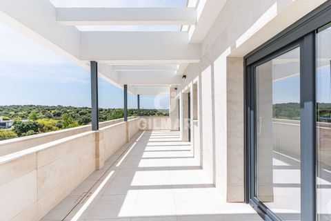 Villa a Madrid, Madrid, Madrid - € 1.799.500 | Ref: 218024 - foto 32
