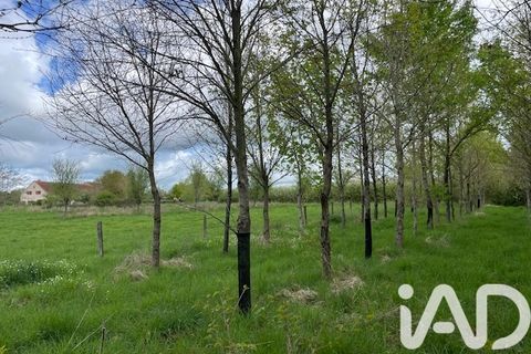 Træhytte i Audes, Allier, Audes - € 690.000 | Ref: 10579 - foto 6
