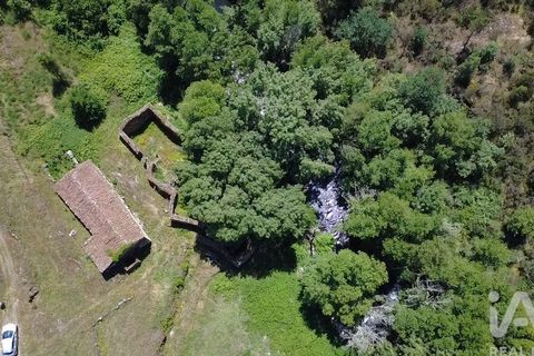 Farm i Penalva do Castelo, Viseu, Penalva do Castelo - € 170.000 | Ref: 915779 - foto 4