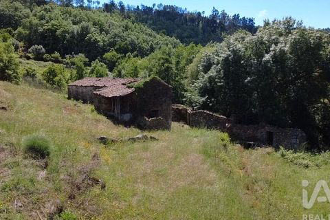 Farm i Penalva do Castelo, Viseu, Penalva do Castelo - € 170.000 | Ref: 915779 - foto 6
