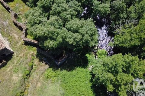 Farm i Penalva do Castelo, Viseu, Penalva do Castelo - € 170.000 | Ref: 915779 - foto 7
