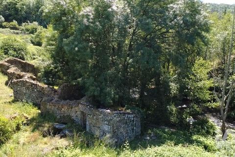 Farm i Penalva do Castelo, Viseu, Penalva do Castelo - € 170.000 | Ref: 915779 - foto 8