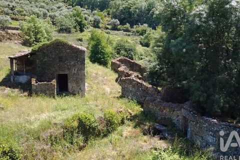 Farm i Penalva do Castelo, Viseu, Penalva do Castelo - € 170.000 | Ref: 915779 - foto 9